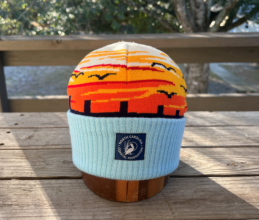 patch beanie