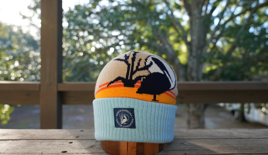 Pelican Beanie.png