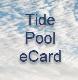 Tide Pool ecard stationery